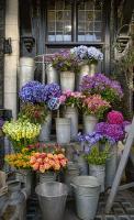 London Florist�